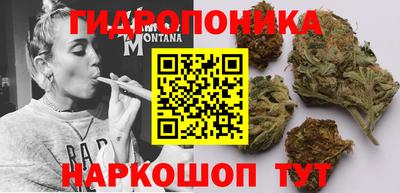 гашик Владивосток