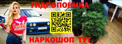 гашик Владивосток