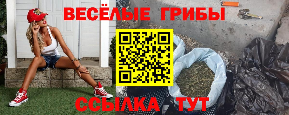 Галлюциногенные грибы Magic Shrooms Коряжма